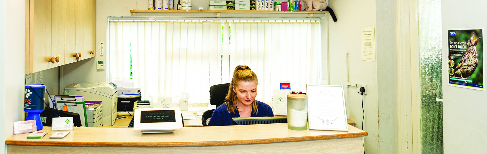 Mayow Veterinary Surgery London Veterinary Surgeries