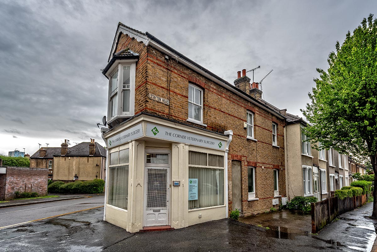 Corner Veterinary Surgery London Veterinary Surgeries