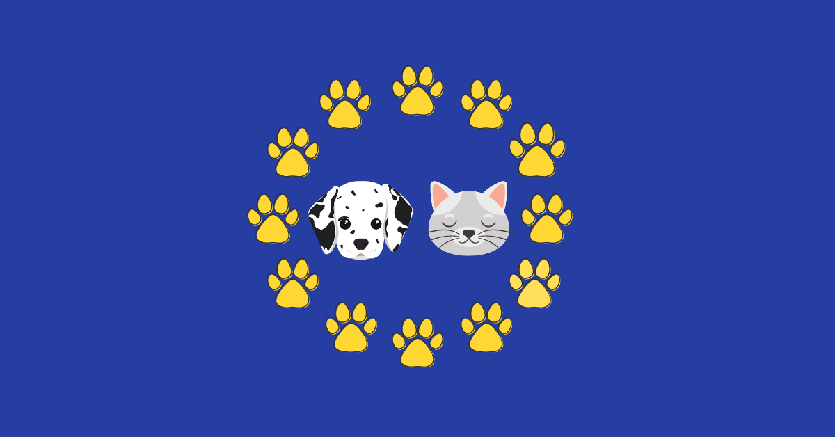 New Rules For Pet Travel In Europe Post Brexit London Veterinary