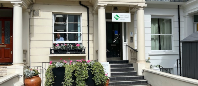 Abingdon Vet