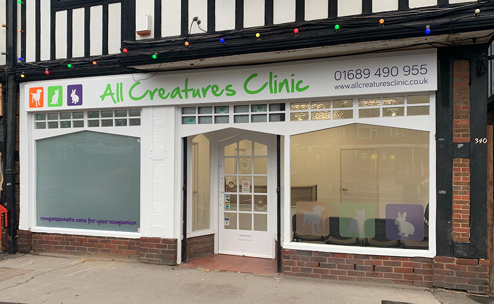 all-creature-clinic