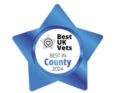 SHVSv1-1-e1721306766702