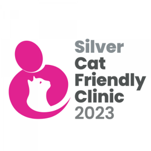Silver Car Friendly Clinic