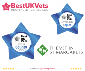 The-vet-in-St-Margrets