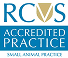 rcvs-accreditation