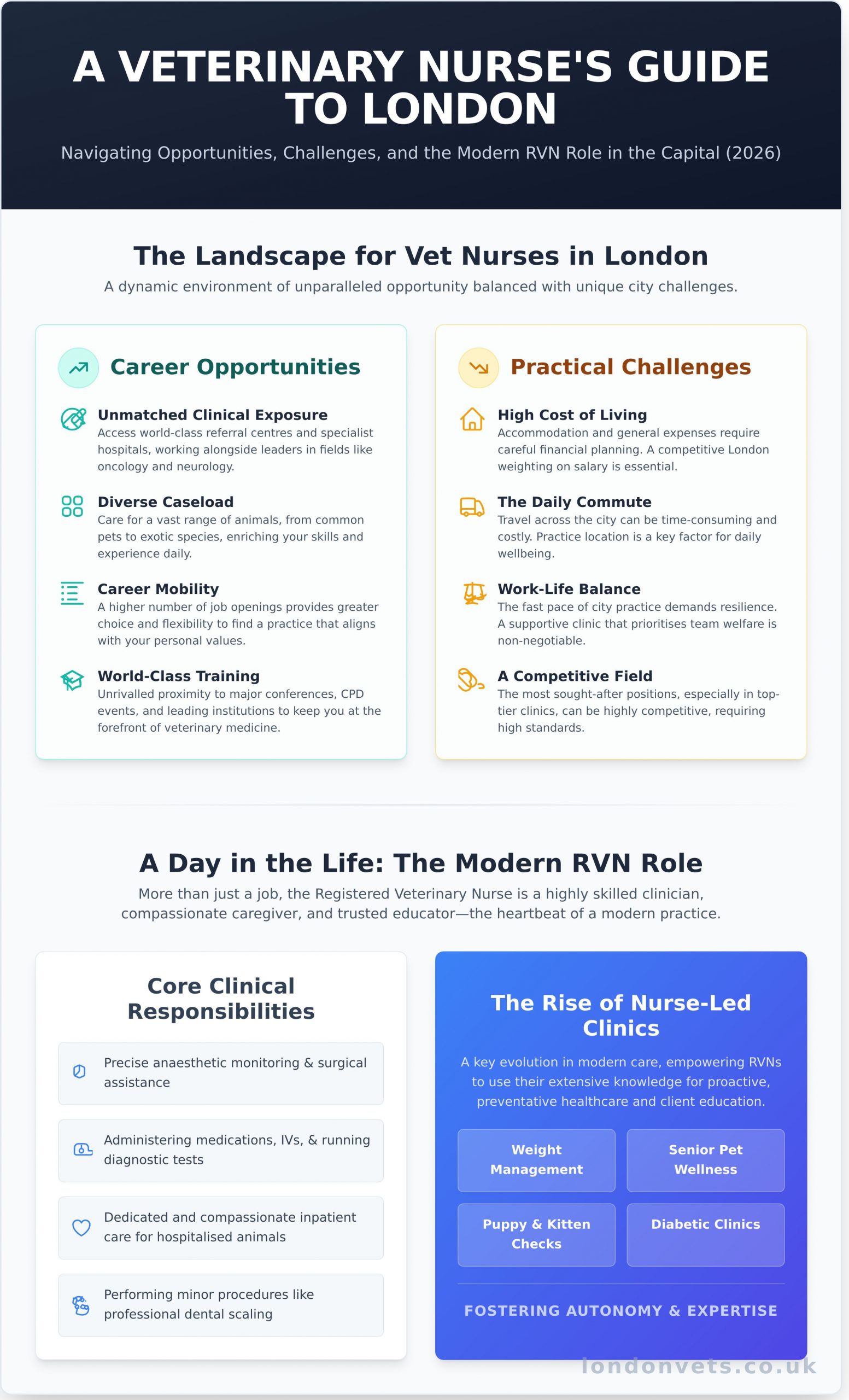 Veterinary Nurse Positions in London: Your 2026 Career Guide - Infographic