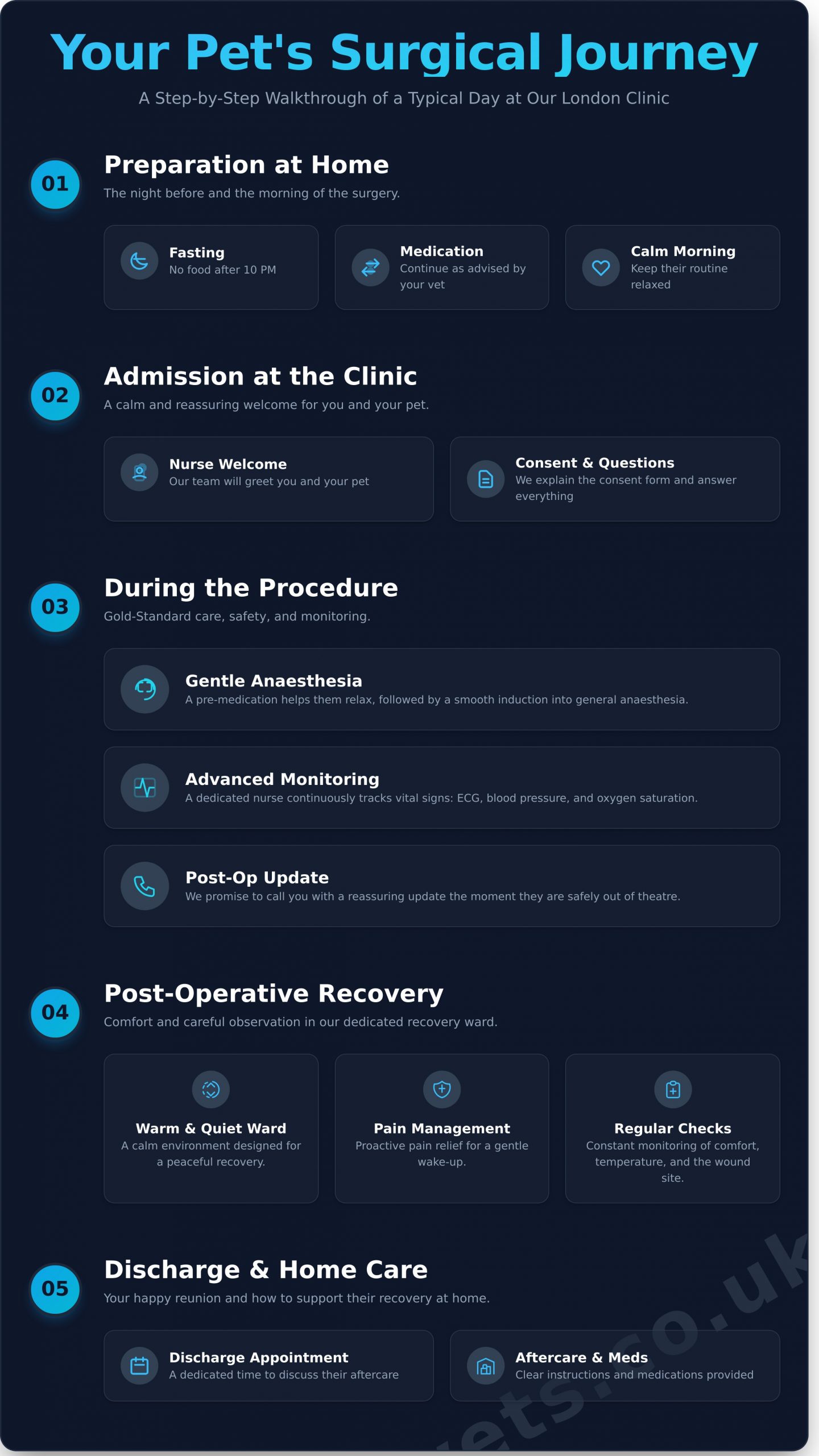 Veterinary Surgery in London: A Complete Guide for Pet Owners - Infographic