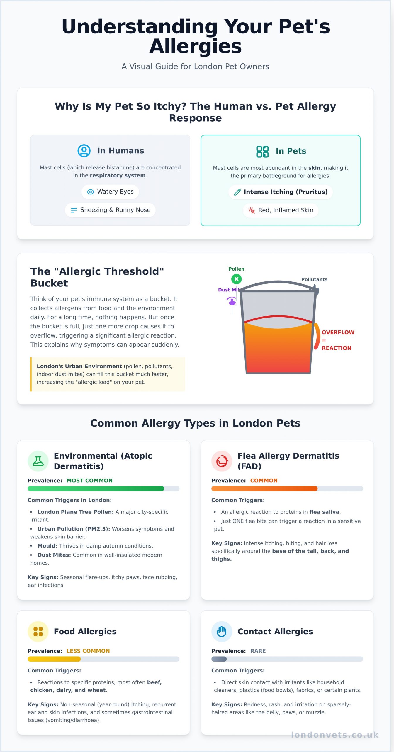 Animal Allergy Symptoms: A London Pet Owner’s Guide to Identifying and Managing Sensitivities - Infographic