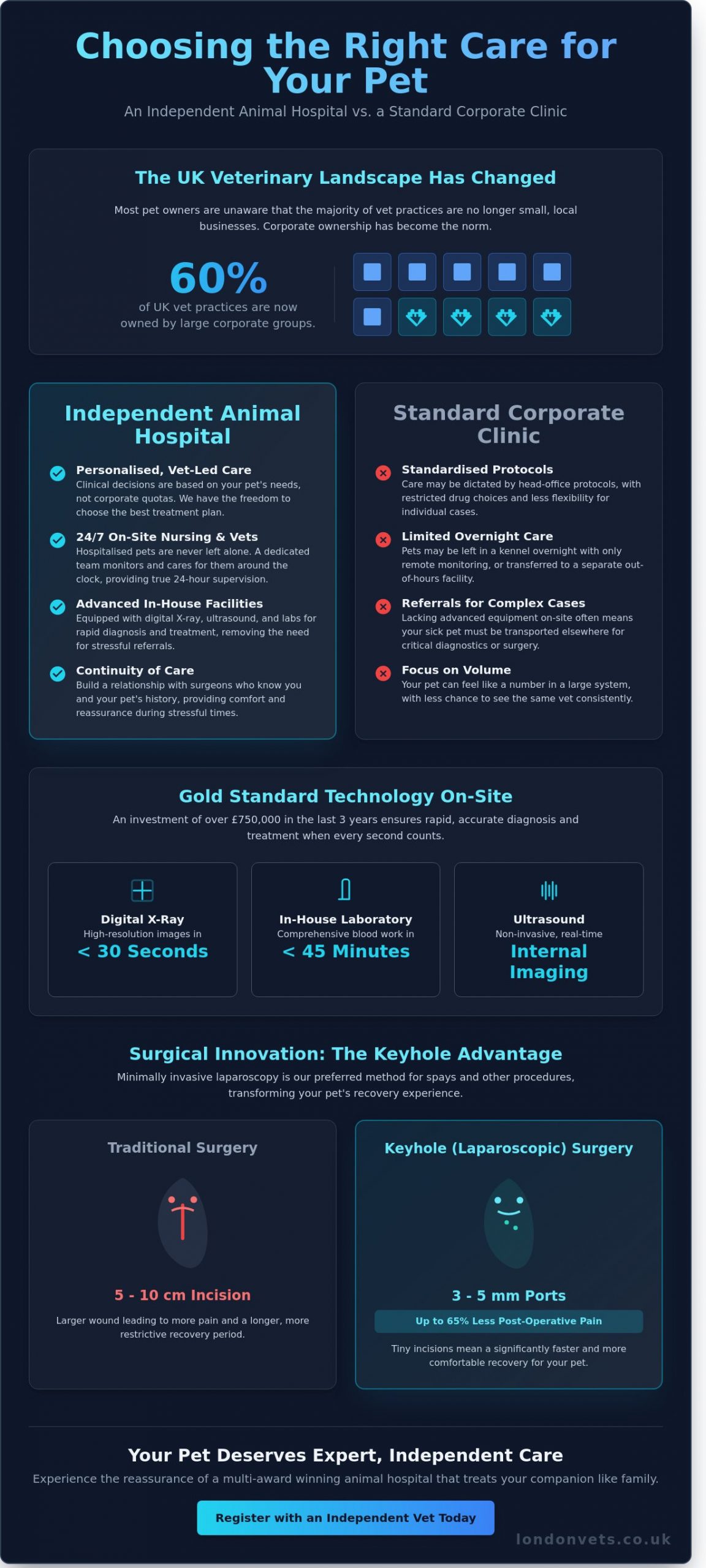Choosing the Best Animal Hospital in London: A Guide for Pet Owners - Infographic