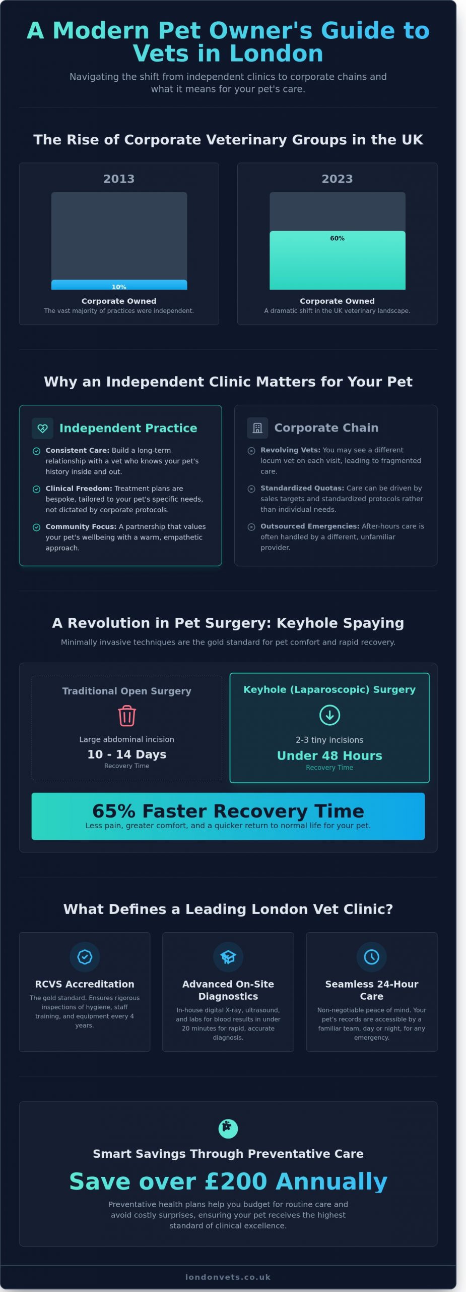 Choosing the Best London Vet Clinic: A Guide to Excellence in Pet Care - Infographic