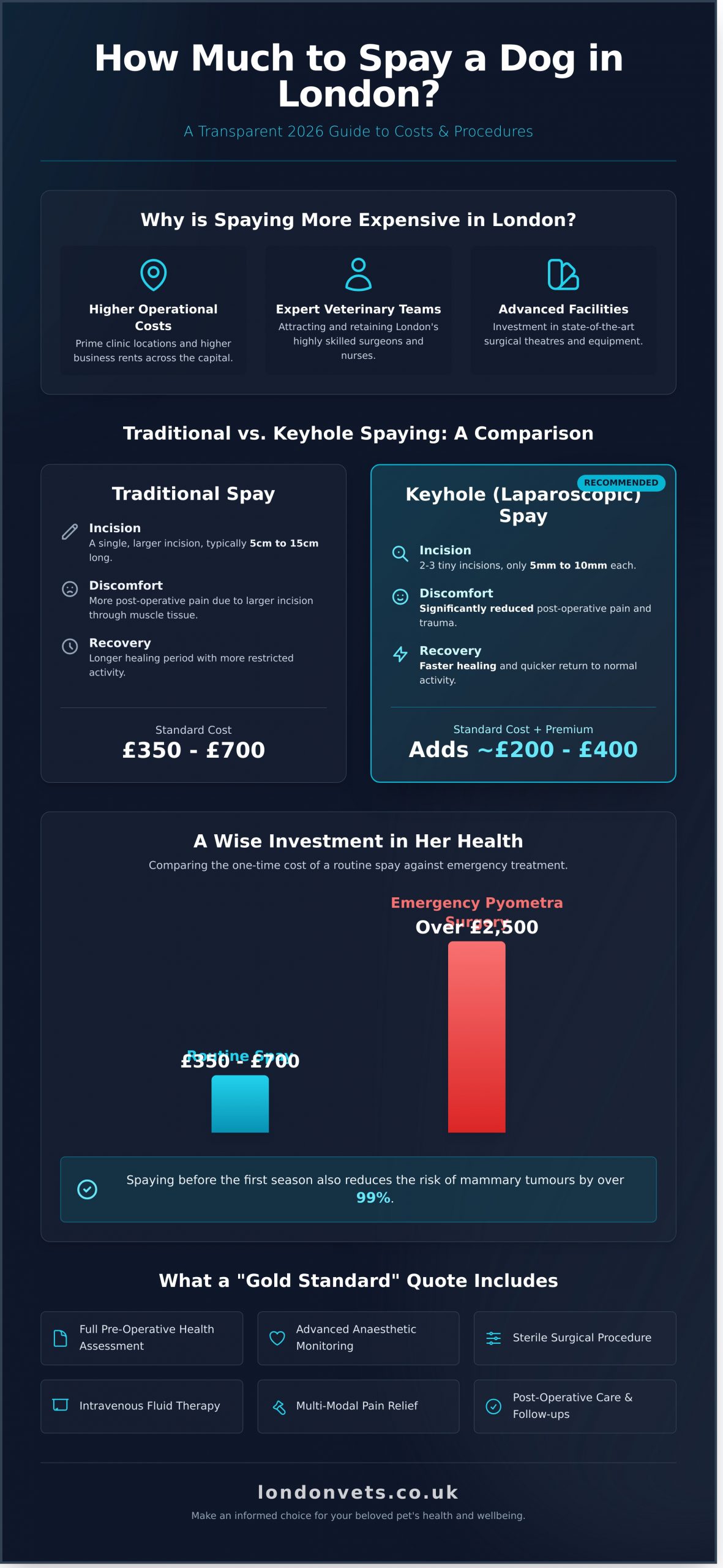 How Much to Spay a Dog in London? 2026 Price Guide & Expert Advice - Infographic