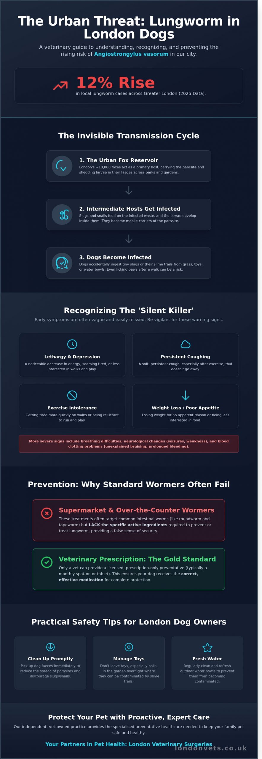 Lungworm in Dogs: A Vital Guide for London Pet Owners in 2026 - Infographic