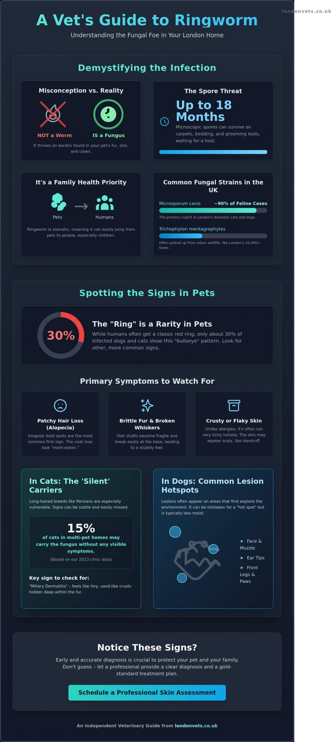 Ringworm in Pets: A London Vet’s Guide to Symptoms and Treatment - Infographic