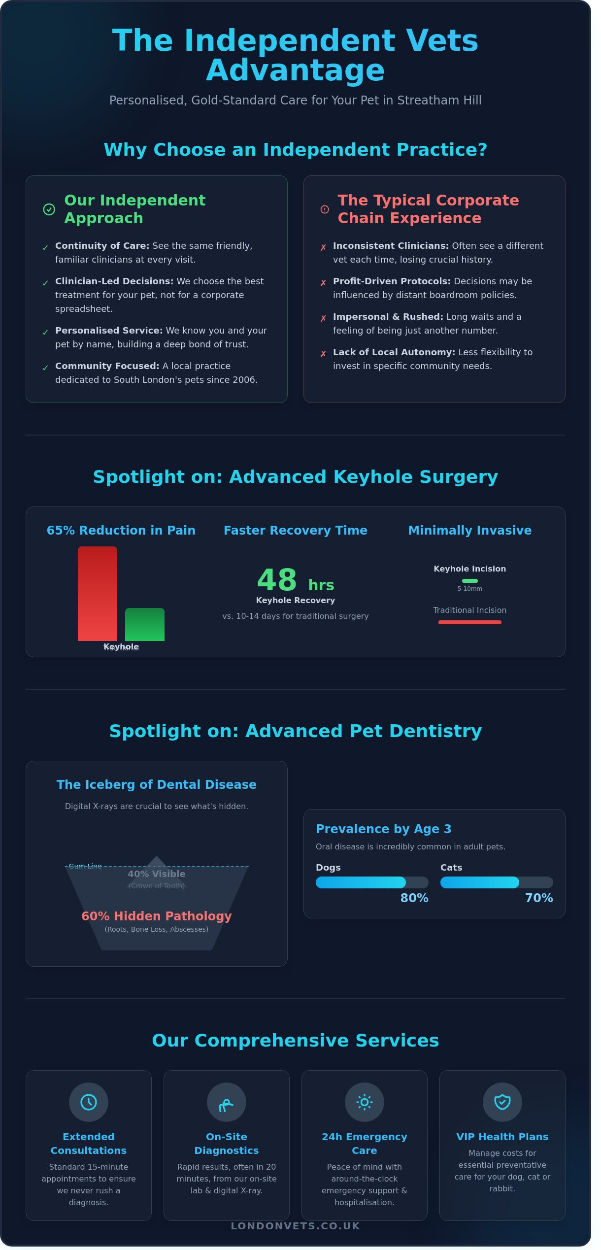 Your Local Independent Vets in Streatham Hill: Award-Winning Care for Your Pets - Infographic