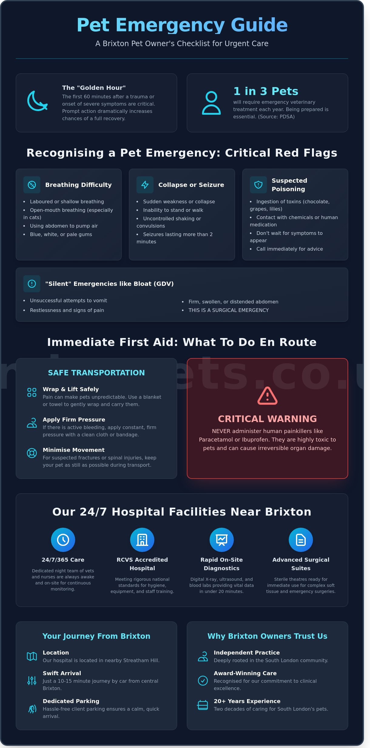 24 Hour Emergency Vet Brixton: Trusted Out-of-Hours Care for Your Pet - Infographic