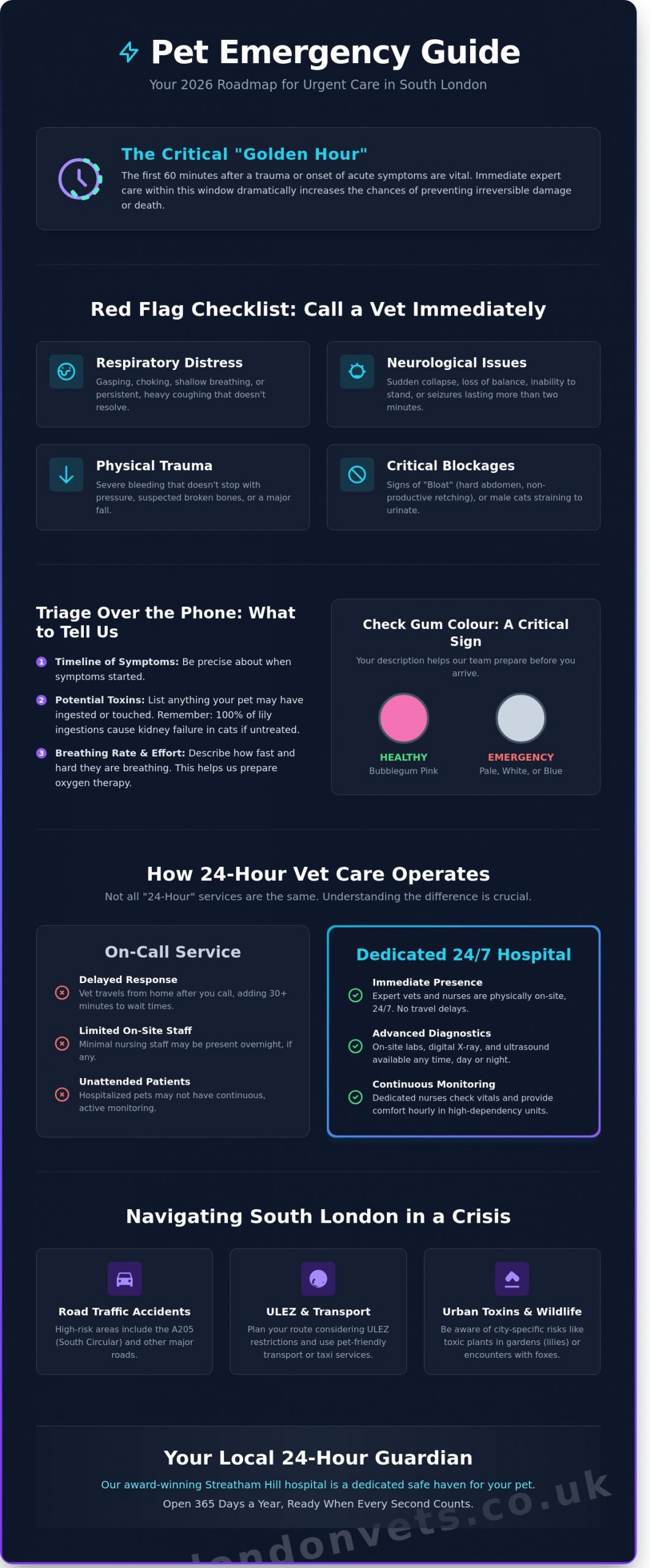 24-Hour Vet Near Me: Emergency Pet Care in South London (2026 Guide) - Infographic