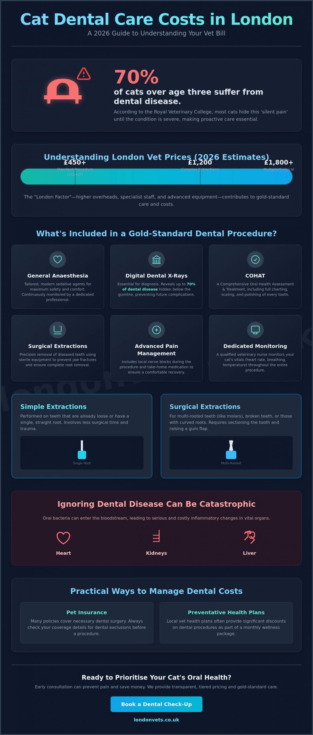 Cat Teeth Extraction Cost in London: A 2026 Price & Care Guide - Infographic
