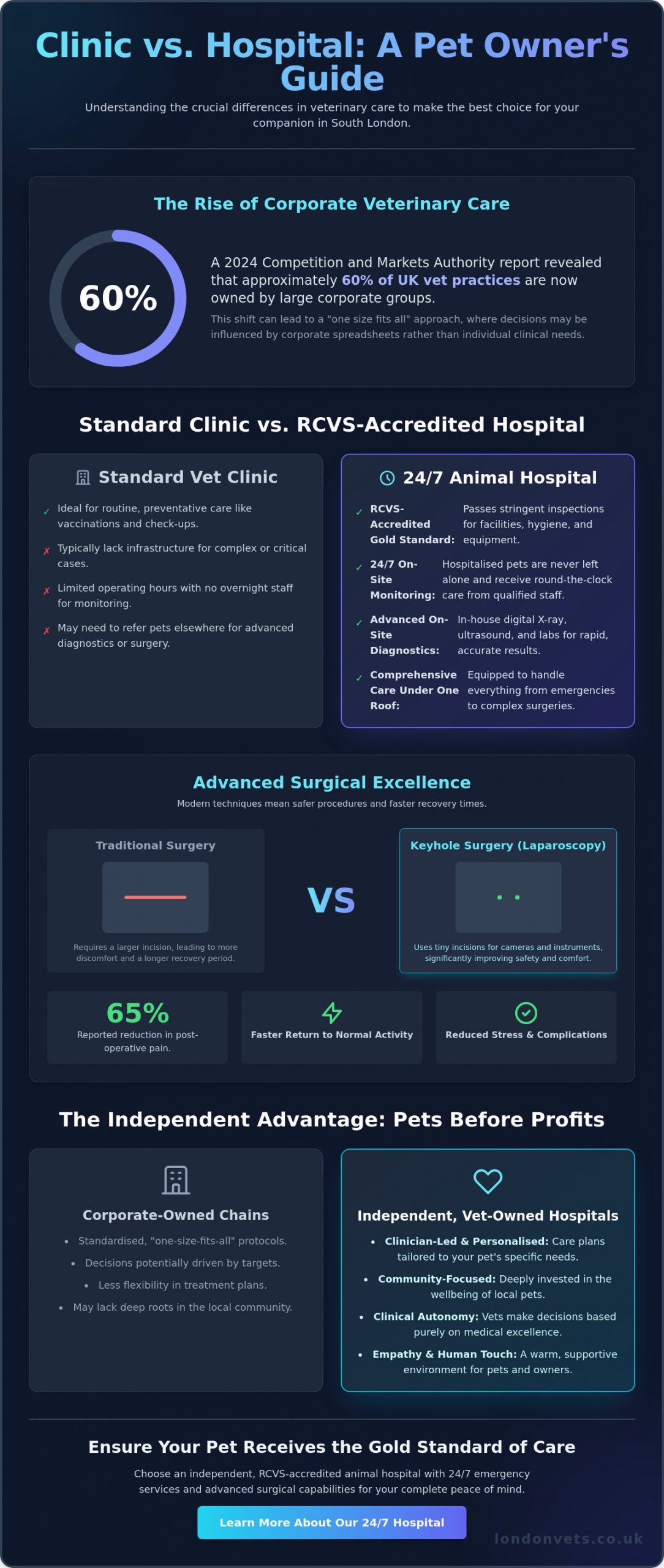 Choosing the Best Animal Hospital in South London: A 2026 Pet Owner’s Guide