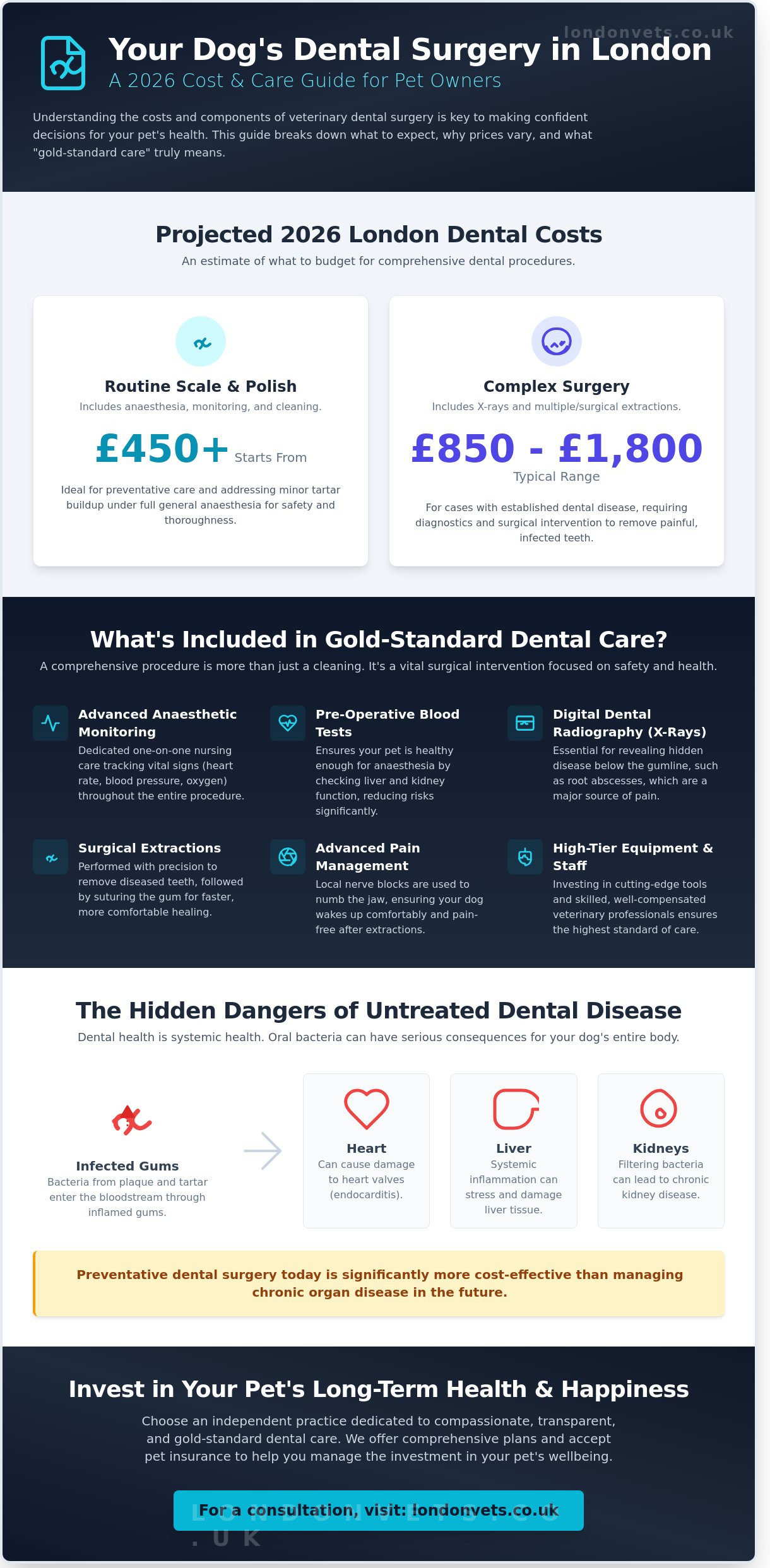 Dog Dental Surgery Cost in London: A 2026 Price & Procedure Guide