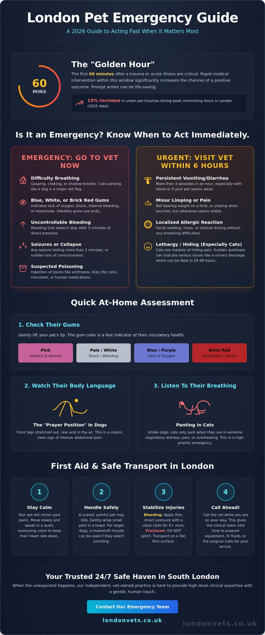Emergency Pet Care in London: A Complete Guide for Pet Owners (2026) - Infographic