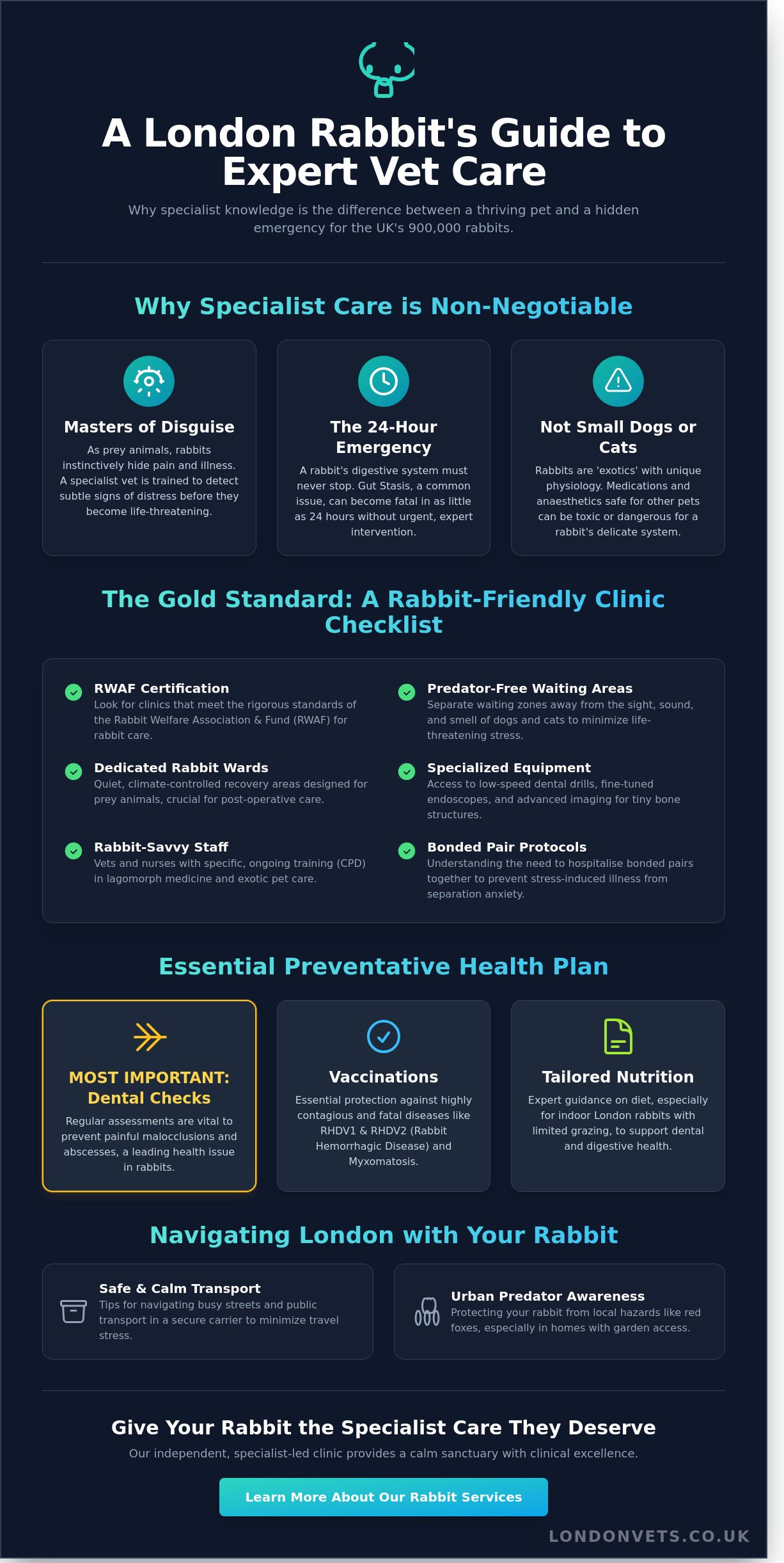 Expert Bunny Vet London: Specialist Rabbit Care for Your Furry Friend - Infographic