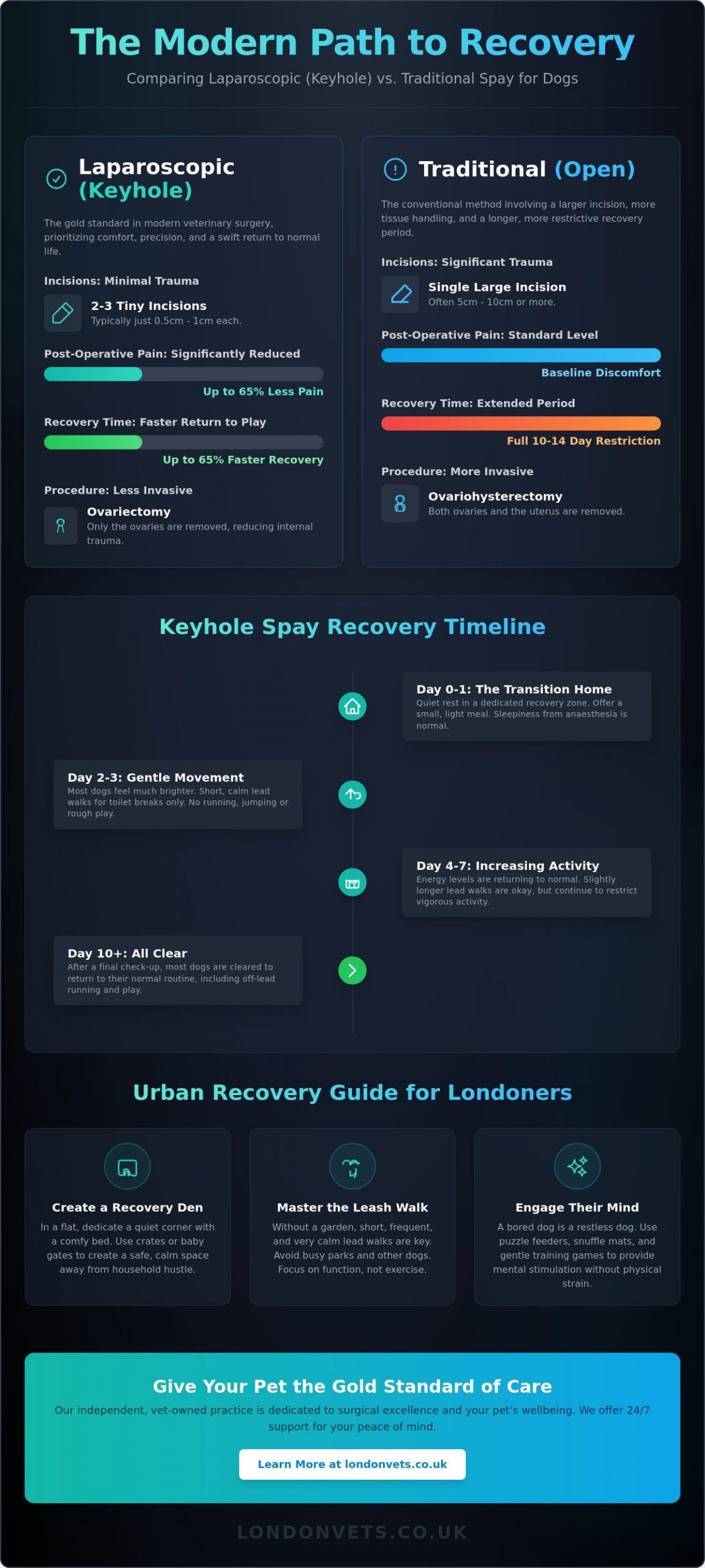 Laparoscopic Spay Recovery Time: A London Pet Owner’s Guide for 2026