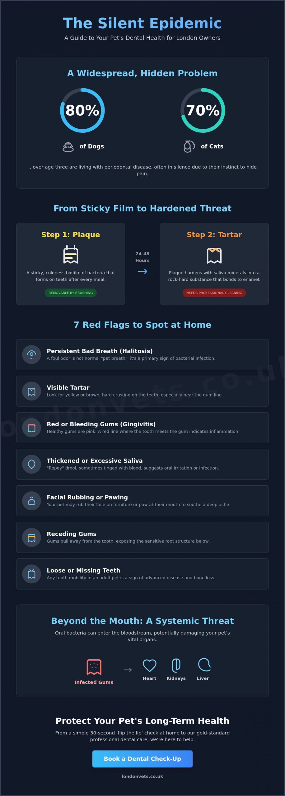 Signs of Pet Dental Disease: A London Owner’s Guide to Silent Pain - Infographic