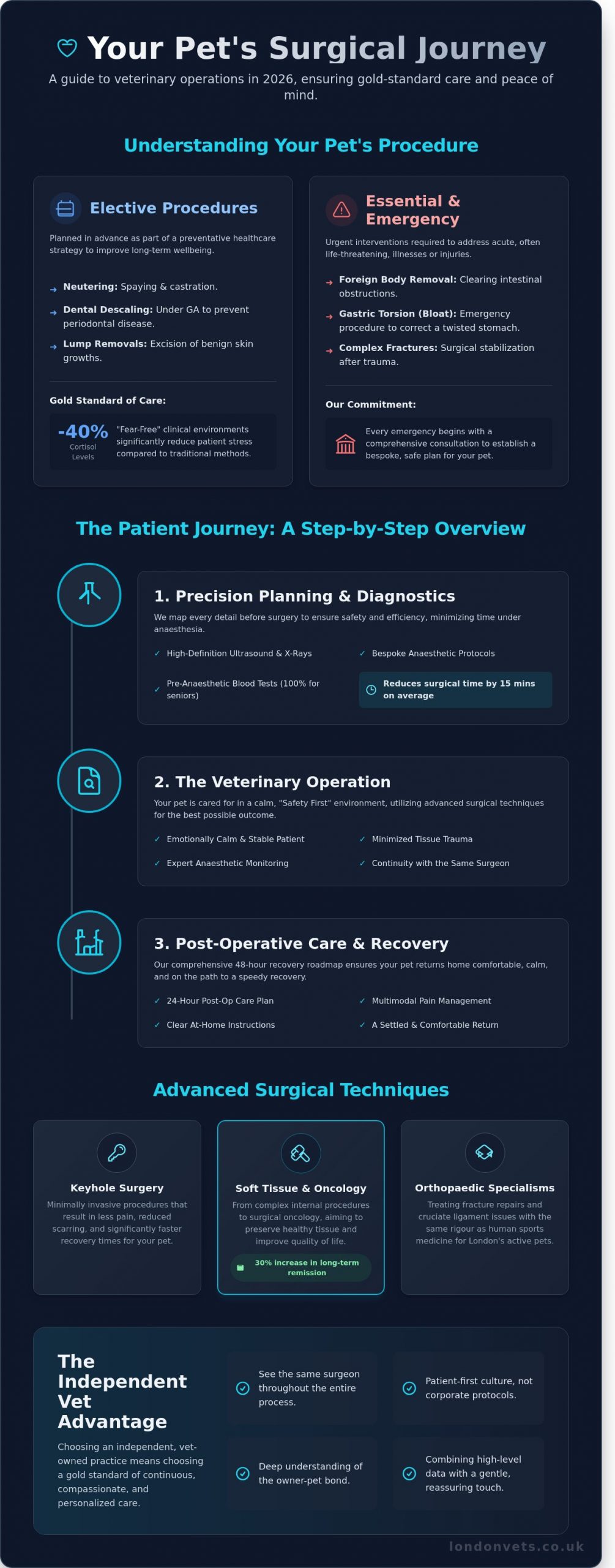 Veterinary Operation in London: A Complete Guide to Pet Surgery (2026)