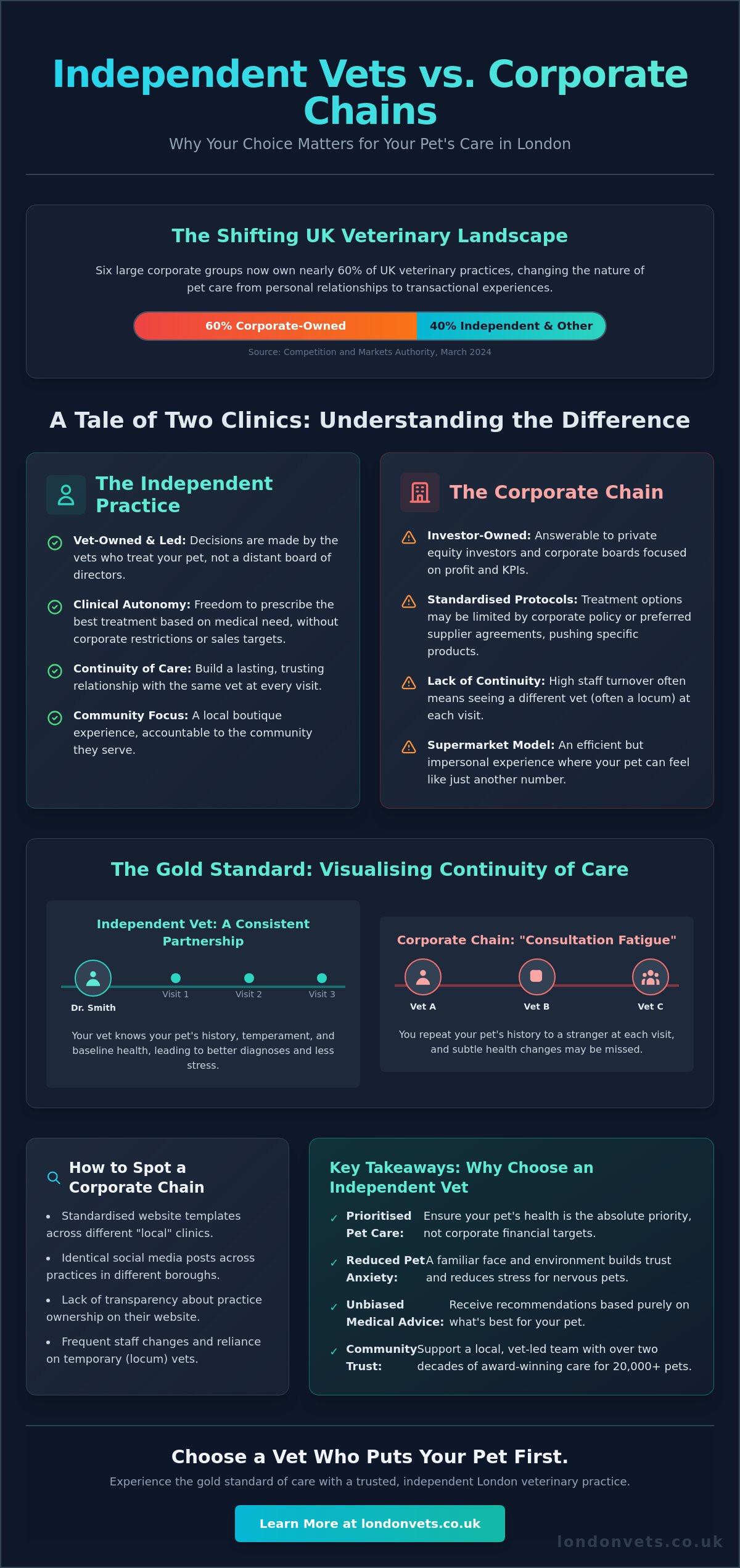 Why Choose an Independent Vet in London? The Benefits of Personalised Care - Infographic