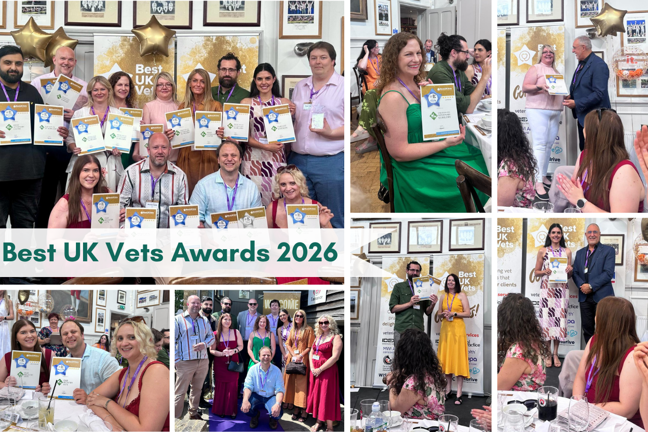 Best UK Vets Awards 2026